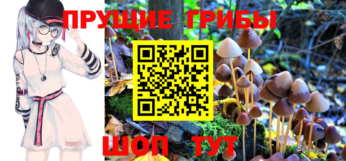 Псилоцибиновые грибы ЛСД Фурманов